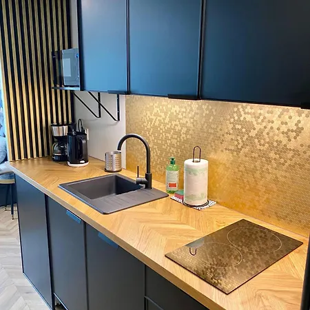 Rents - Old Town Plac Wolnosci Parking Free Apartment *