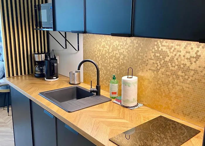 Rents - Old Town Plac Wolnosci Apartment *